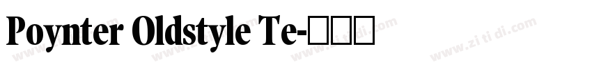Poynter Oldstyle Te字体转换